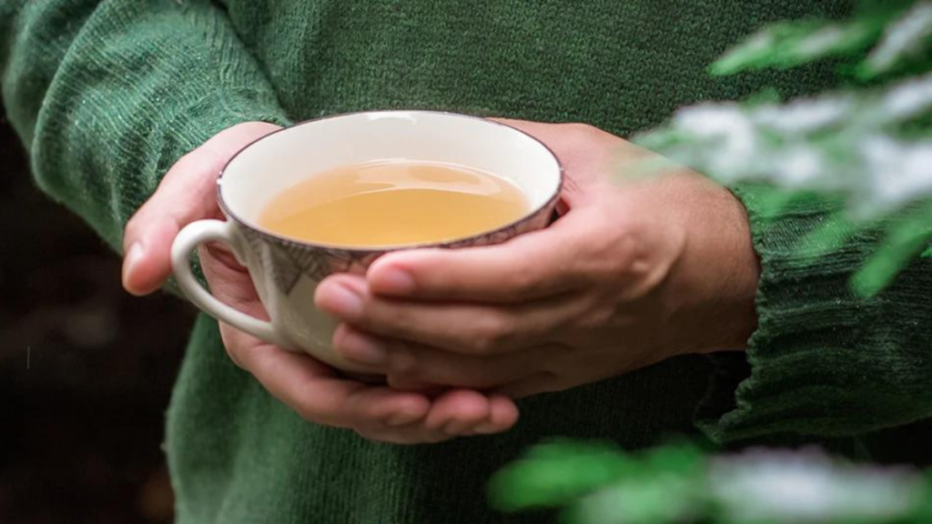 Exploring the Palate: What Does Green Tea Taste Like?