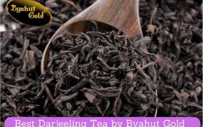 What Is Darjeeling Tea? Its Benefits and Wholesale Price.